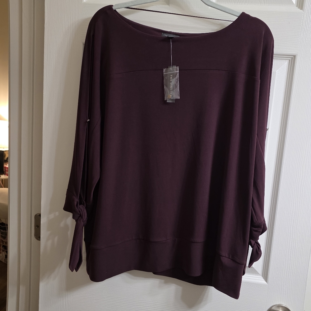 The Limited Maroon Blouse
